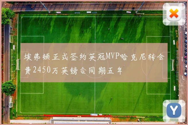 埃弗顿正式签约英冠MVP哈克尼转会费2450万英镑合同期五年