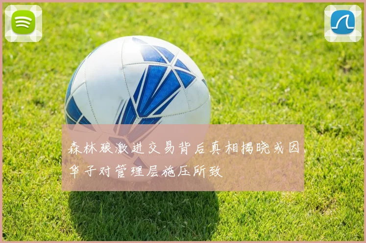 森林狼激进交易背后真相揭晓或因华子对管理层施压所致