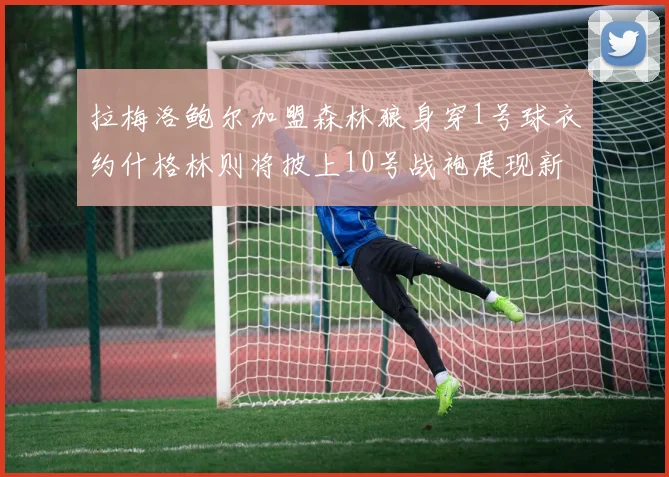 拉梅洛鲍尔加盟森林狼身穿1号球衣约什格林则将披上10号战袍展现新风采